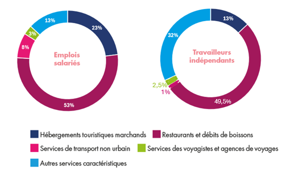 Répartition des effectifs :
Emplois salariés :
Hébergements touristiques marchands : 23%
Restaurants et débits de boissons : 53%
Services de transport non urbain : 8%
Services de voyagistes et agences de voyage : 3%
Autres services caractéristiques : 13%
Répartition des effectifs :
Travailleurs indépendants :
Hébergements touristiques marchands : 13%
Restaurants et débits de boissons : 49,5%
Services de transport non urbain : 1%
Services de voyagistes et agences de voyage : 2,5%
Autres services caractéristiques : 34%