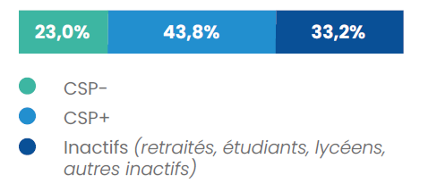 Répartition des touristes français par catégorie socio-professionnelle (en % de voyages) :
CSP - : 23,0%
CSP + : 43,8%
Inactifs (retraités, étudiants, lycéens, autres inactifs) : 33,2%