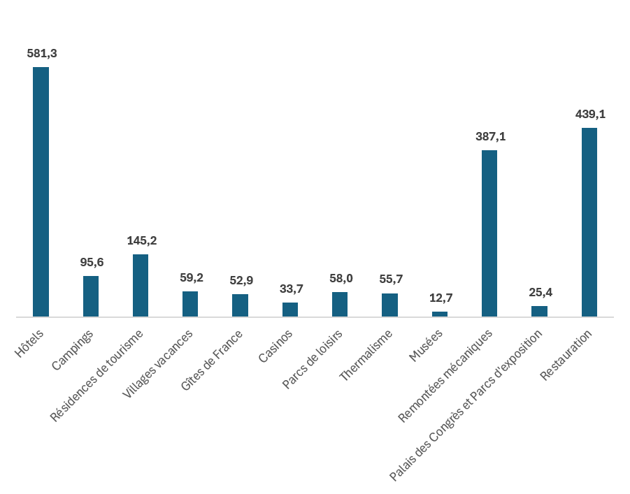 Montant (en millions d'euros) des investissements touristiques par filière 
(moyenne des trois dernières années 2022 - 2023 - 2024) :
Hôtels : 581,3M€
campings : 95.6M€
Résidences de tourisme : 145.2M€
Villages vacances : 59.2M€
Gîtes de France : 52.9M€
Casinos : 33.7M€
Parcs de loisirs : 58.0M€
Thermalisme : 55.7M€
Musées : 12.7M€
Remontées mécaniques : 387.1M€
Palais des Congrès et parcs d'exposition : 25.4M€
Restauration : 739.1M€