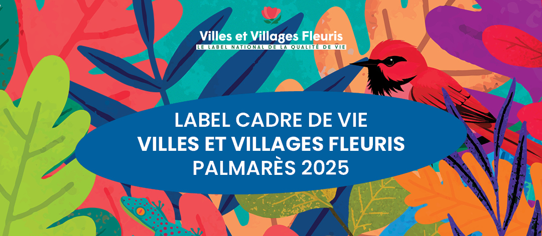 Bannière news invitation VVF 2026